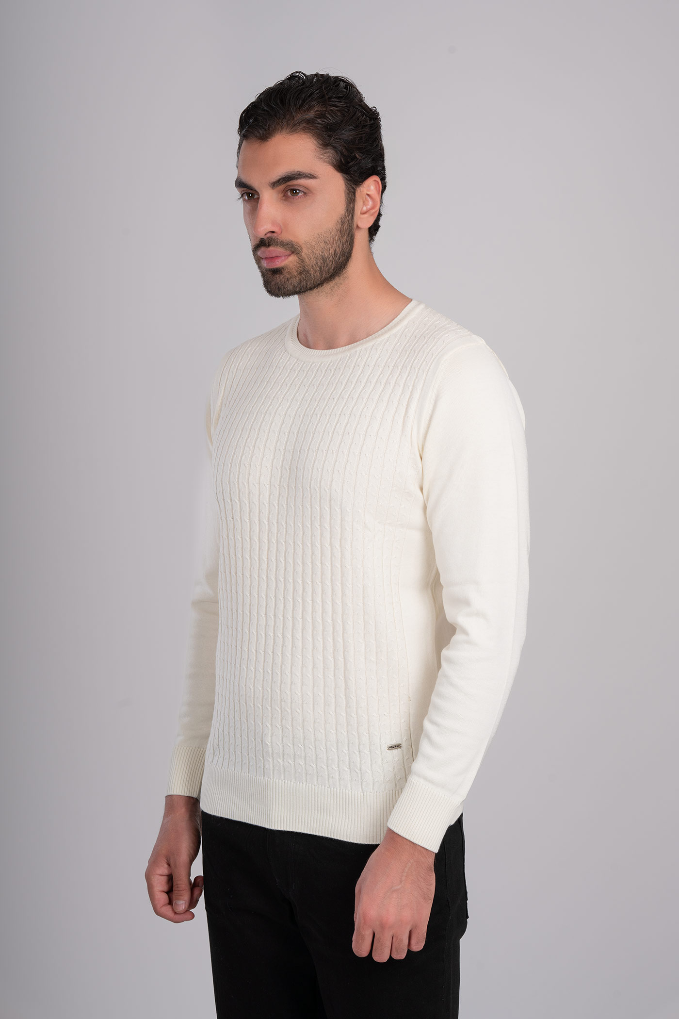 پلیور یقه گرد 300020