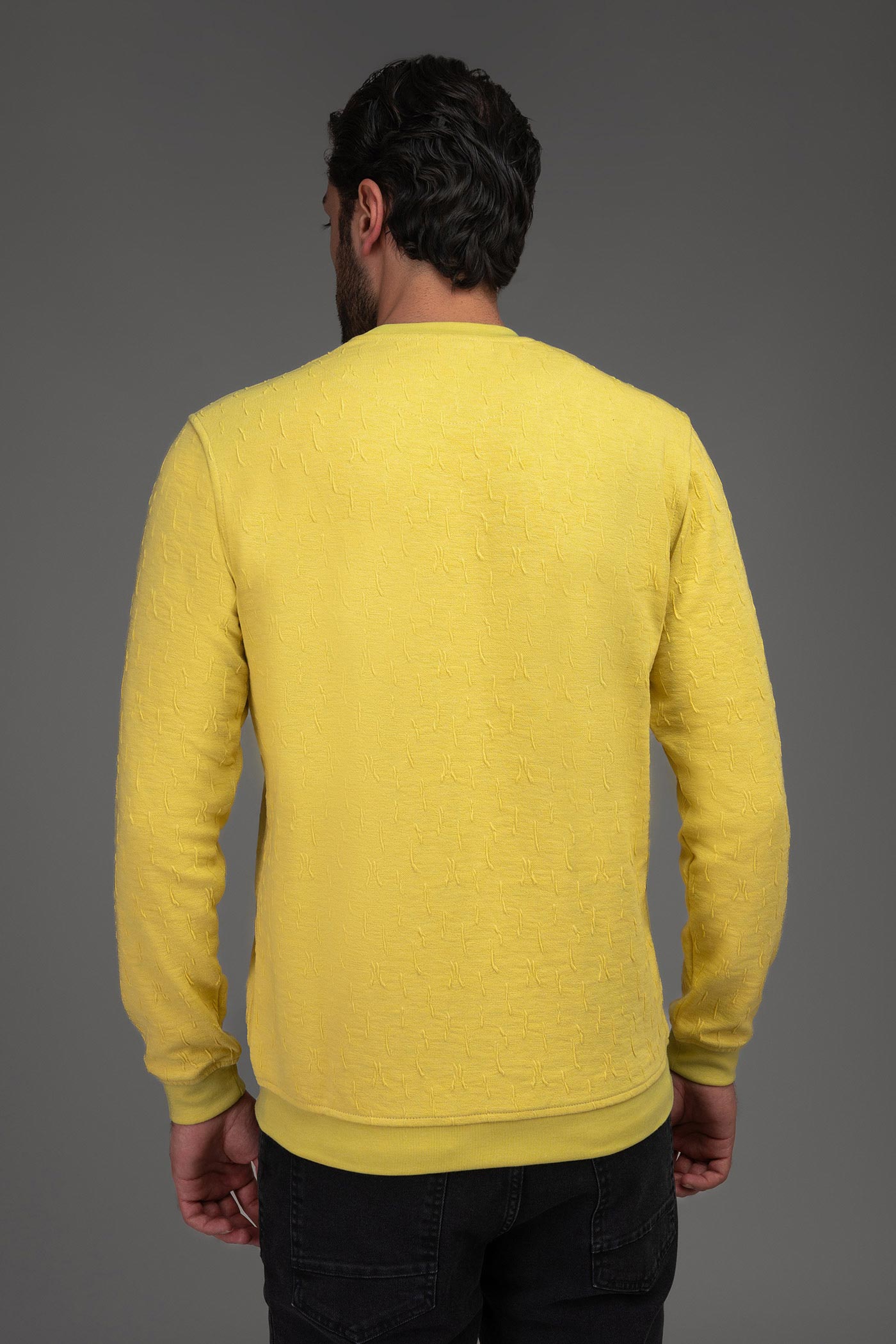 تی شرت آستین بلند 160151